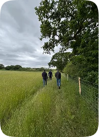 Three team members walking along a field path in the countryside