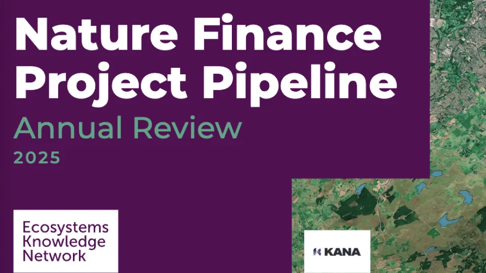 Nature Finance UK Review 2025 published